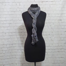 Load image into Gallery viewer, J. Crew Blue and White Scarf
